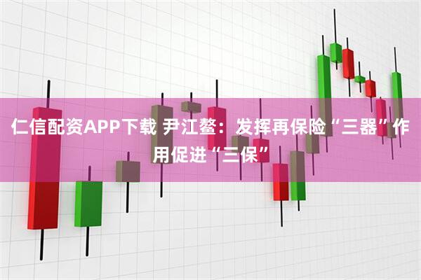 仁信配资APP下载 尹江鳌:发挥再保险“三器”作用促进“三保”