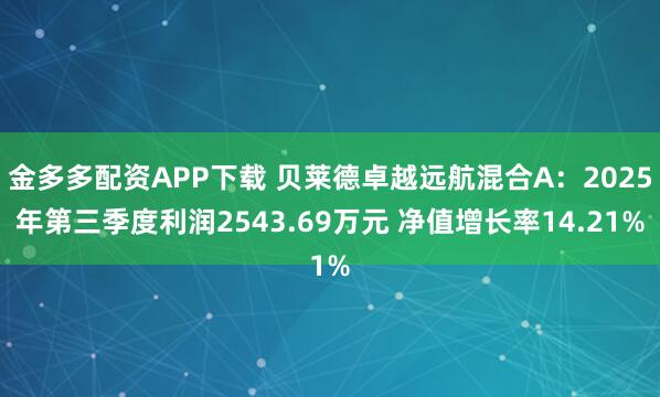 金多多配资APP下载 贝莱德卓越远航混合A：2025年第三季度利润2543.69万元 净值增长率14.21%