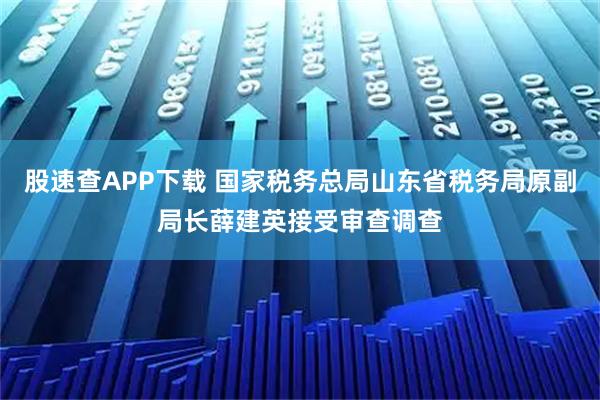 股速查APP下载 国家税务总局山东省税务局原副局长薛建英接受审查调查